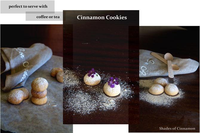 Cinnamon-cookies-final