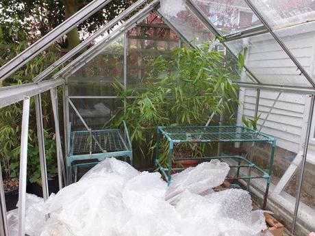 Working Area Working Area