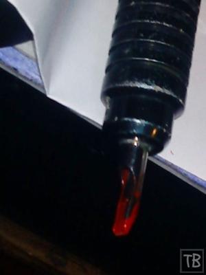 OUT & ABOUT The Phoenix Rising OUT & ABOUT The Phoenix Rising