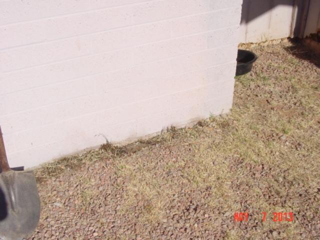 probestpestmanagementDSC06302