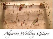 Algerian Wedding Quinoa* (aka What Bring Luck When Want Something New)