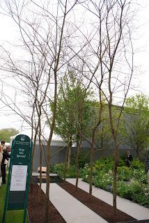 Chelsea Flower Show 2013 - show gardens episode 2