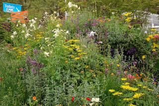 Chelsea Flower Show 2013 - show gardens episode 2