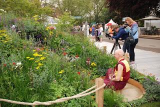 Chelsea Flower Show 2013 - show gardens episode 2