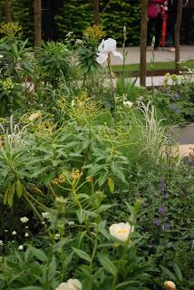 Chelsea Flower Show 2013 - show gardens episode 2