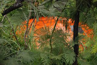 Chelsea Flower Show 2013 - show gardens episode 2