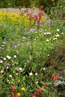 Chelsea Flower Show 2013 - show gardens episode 2