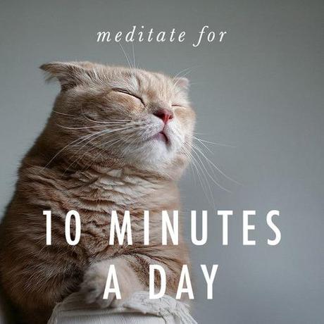 meditate for 10 minutes a day