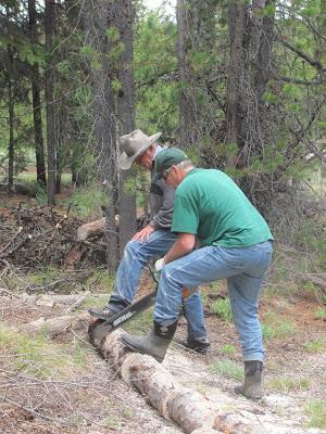 Wood Cutting Expedition