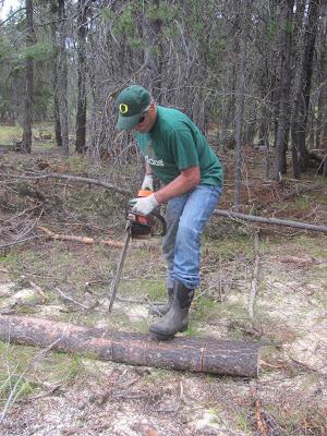 Wood Cutting Expedition