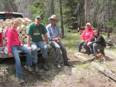 Wood Cutting Expedition