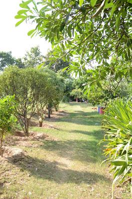 Laksh Farms (in photographs)