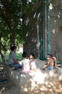 Laksh Farms (in photographs)