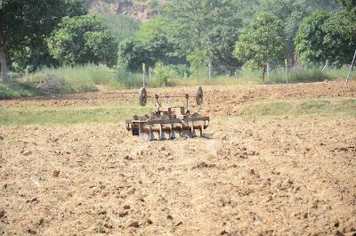 Laksh Farms (in photographs)