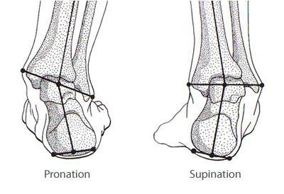 foot-pronation-supination