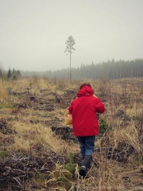 Looking for morel-mushrooms with mum {Wordless Wednesday}
