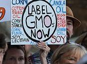 Seeds Death: Unveiling Lies GMO’s