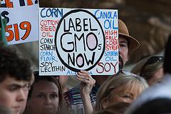 Rally to Support GMO Food Labeling