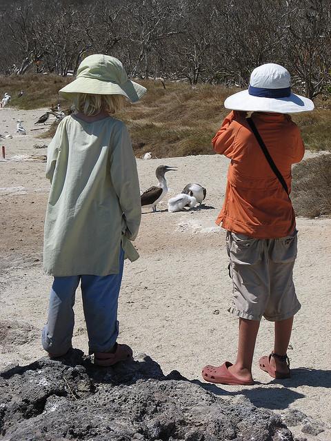 budding naturalists