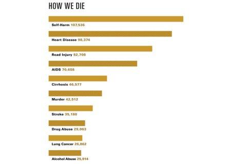 Institute for Health Metrics and Evaluation, Global Burden of Disease 2010