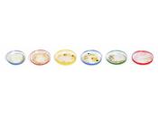 Google Celebrates Birth Inventor Petri Dish