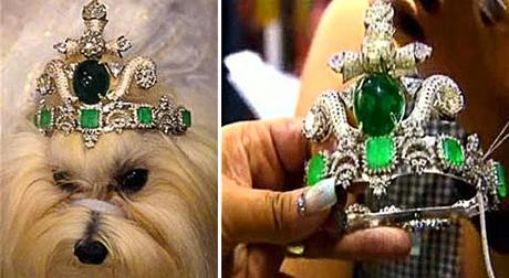 BEHOLD: The Most EXPENSIVE DOG Tiara in the WORLD!