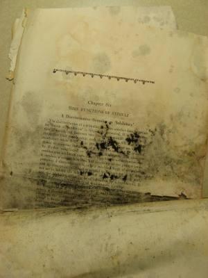 Before: When the pages arrived at the CHP, they were in need of conservation work due to mold, rust, and warping.  They appeared to have been damaged by water.