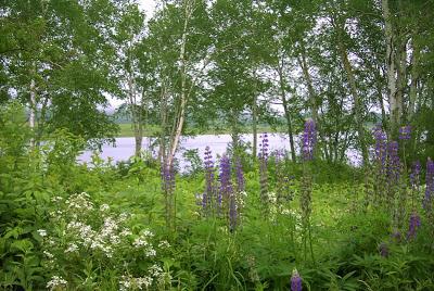 Machias River, and Lubec, Maine