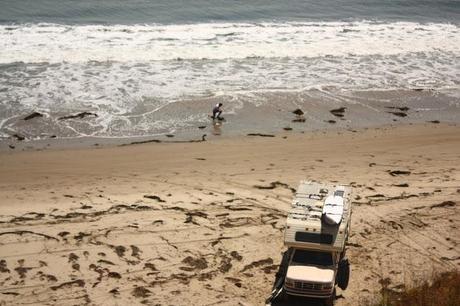 Scenes from a Train: The American Landscape Part 2 (Green Shores)