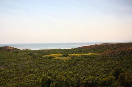 Scenes from a Train: The American Landscape Part 2 (Green Shores)