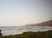 Scenes from Train: American Landscape Part (Green Shores)