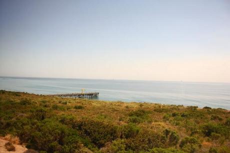 Scenes from a Train: The American Landscape Part 2 (Green Shores)
