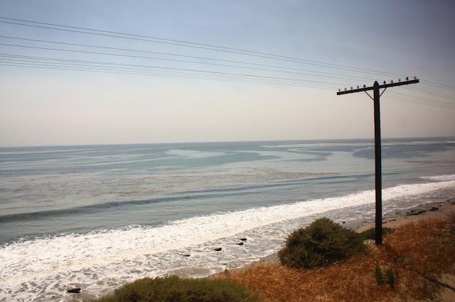 Scenes from a Train: The American Landscape Part 2 (Green Shores)