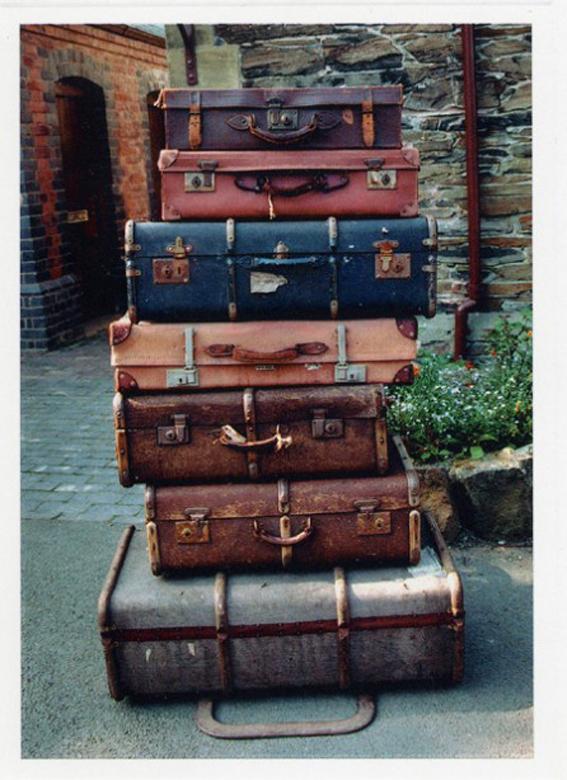 ilovegreeninsp_luggages