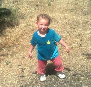 Touring Eretz Yisrael: Organic Berry picking in Gush Etzion