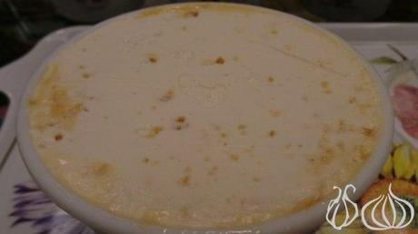 My Latest Discovery: OrsoBianco Gelato OrsoBianco_Gelateria_Ice_Cream_Lebanon23