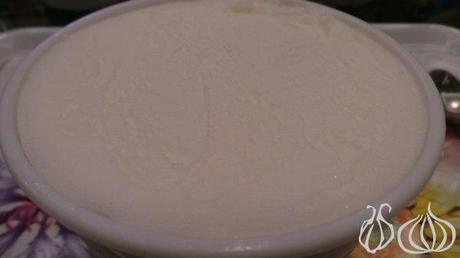 My Latest Discovery: OrsoBianco Gelato OrsoBianco_Gelateria_Ice_Cream_Lebanon26