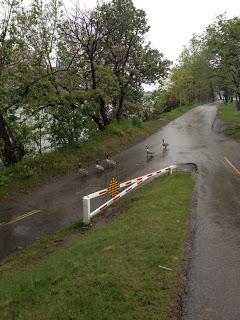 Shower on the Run