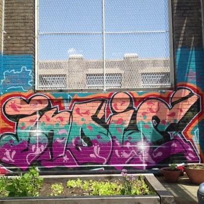 Rooftop Legends 2013