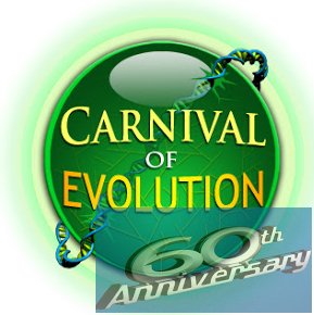 Carnival of Evolution the 60th edition up at NeuroDojo