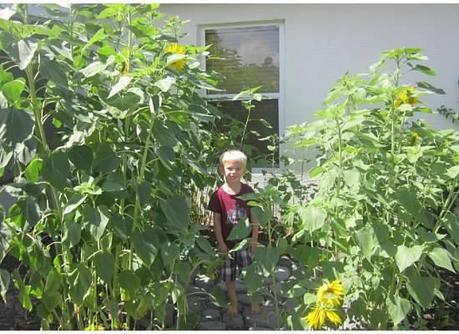 Preschool Plant Unit