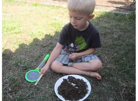 Preschool Plant Unit