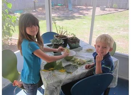 Preschool Plant Unit