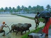 Monsoon: Beautiful Season Tourists