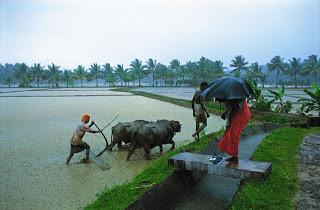 Monsoon: Beautiful Season for Tourists