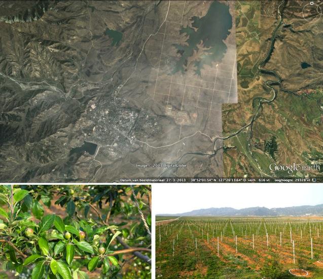 Overview of Kosan Fruit Farm and Kosan County, Kangwo'n Province with images from the Kosan Fruit Farm (Photos: Google image; Rodong Sinmun).