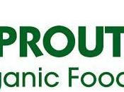 Sprout Organic Foods Taste Review}