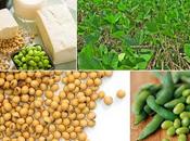 Truth About Fake Meat Protein Bars (or: Should Protein?)