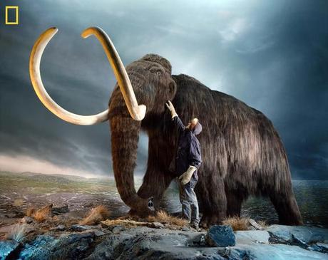 6 Extinct Animals That Could Be Brought Back to Life by LiveScience Staff