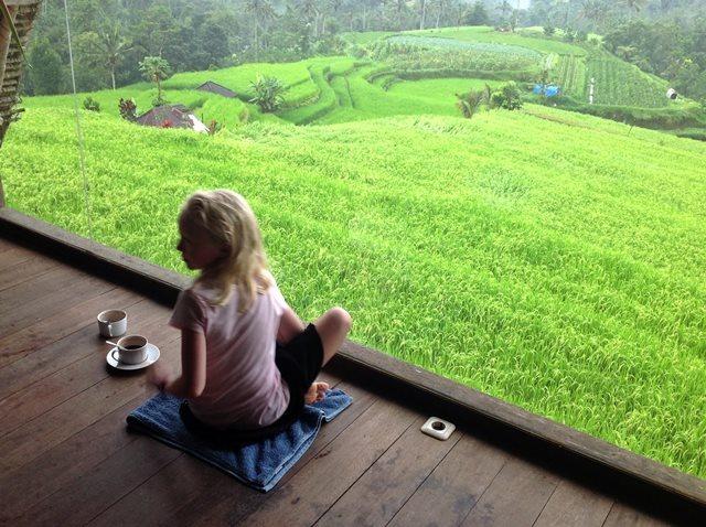 Tea and rice terraces